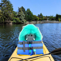 fuzzlescanoe2